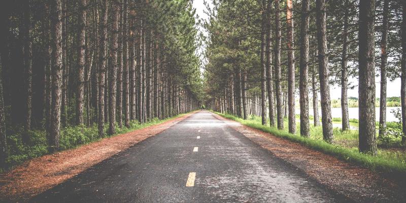 从产权档案解密南京太平南路17号：一部浓缩的城市生活服务变迁史