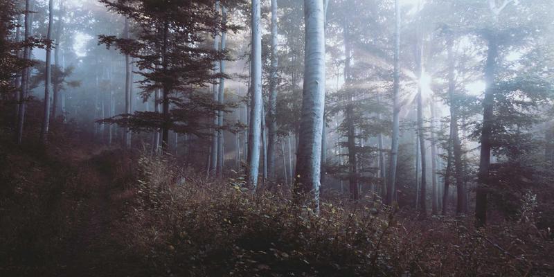 从老字号到新便民：南京太平南路历史街区的业态变迁与生活服务生态重塑