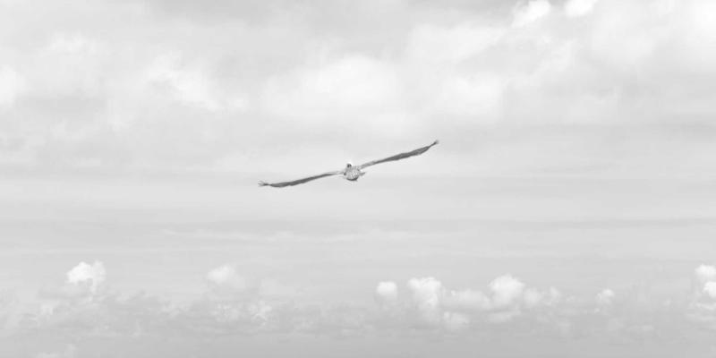 南京太平1745：重新定义现代都市生活服务新标杆