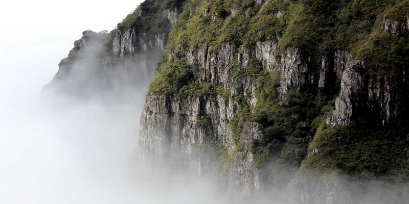 南京太平1748：美食、服务与二手交易交织的城市生活新地标