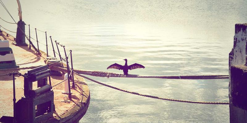 南京太平1755：家庭保洁服务中的民国老宅清洁规范