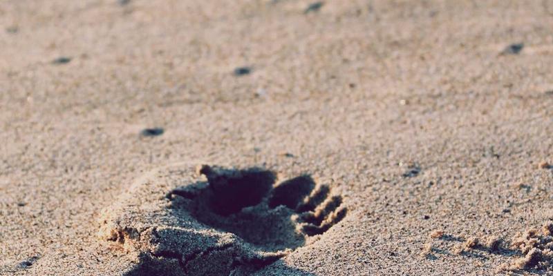 南京太平1772：探索本地生活服务与二手交易的新生态