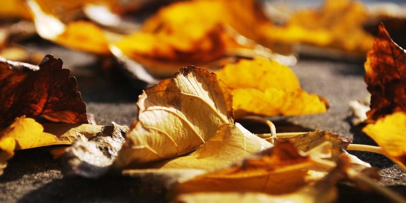 南京太平17怎么用？这份生活服务指南，让本地生活更便捷