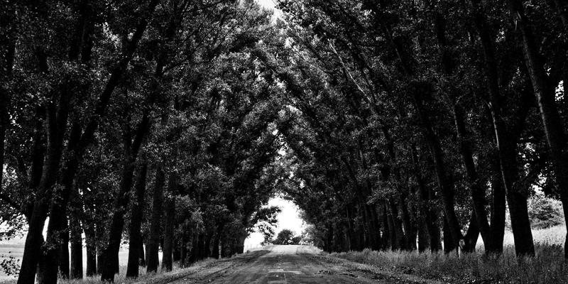 南京太平南路17号：从口述史看居住记忆如何塑造本地身份认同与社区服务生态