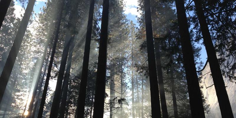 南京太平南路17号：从美食与家政中打捞城市记忆，构建社区认同