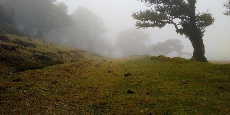 南京太平南路17号建筑结构安全检测与加固方案全解析 | 便民维修指南