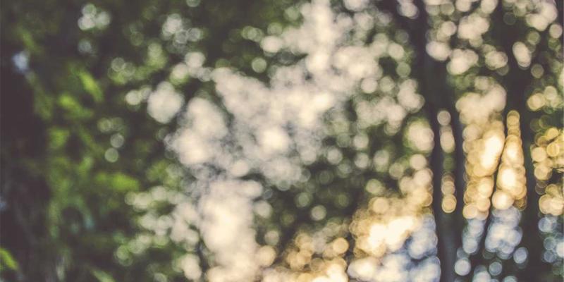 南京太平南路17号民国建筑保护现状调查：社区生活服务与维修困境