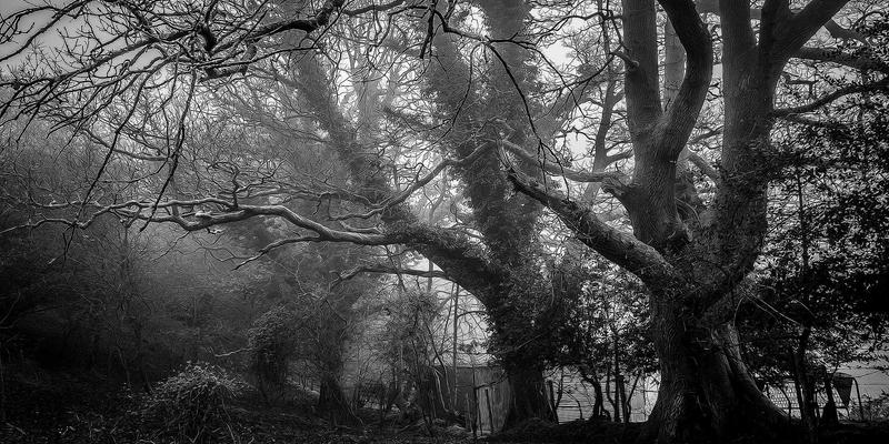 南京太平南路17号：老旧小区治理新样本，便民维修与生活服务如何重塑社区生态