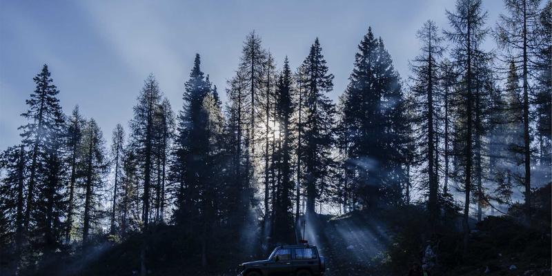 太平北路1788：旧改中的建筑风貌协调与居民协商实践