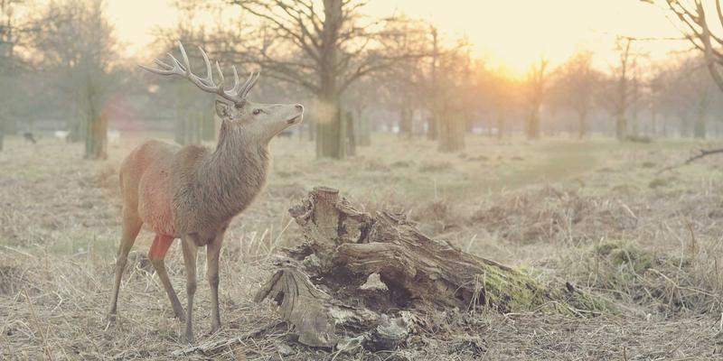 太平北路1790：旧城改造中的历史街区交通微循环与本地生活服务新生态