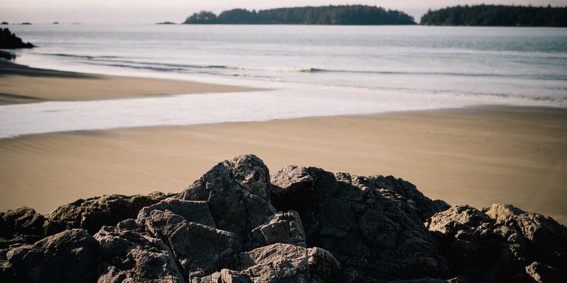 太平南路17号垃圾分类实践：高密度老社区的环保挑战与便民生活服务新思路