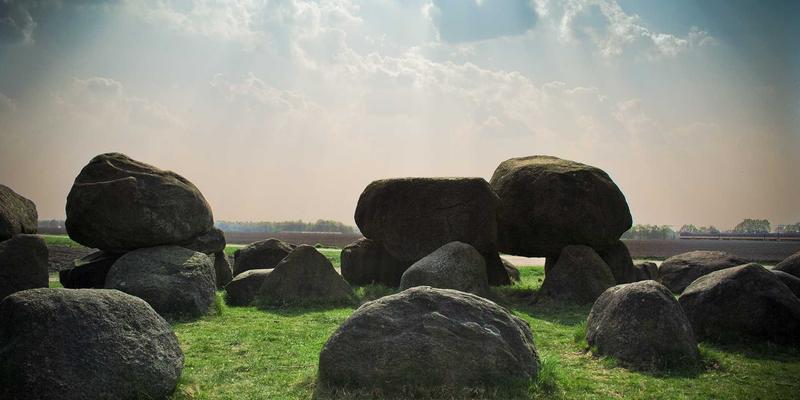 社区营造新样本：太平南路17号的居民自治如何激活本地服务与公共空间