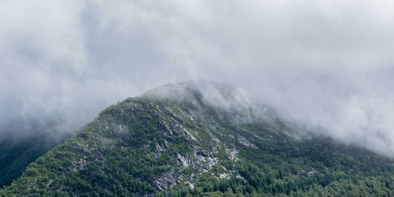 老建筑里的新生活：太平南路17号如何用家政、美食与便民信息点亮社区